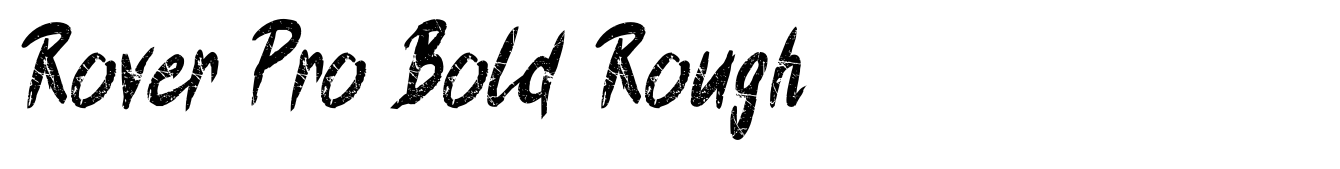 Rover Pro Bold Rough